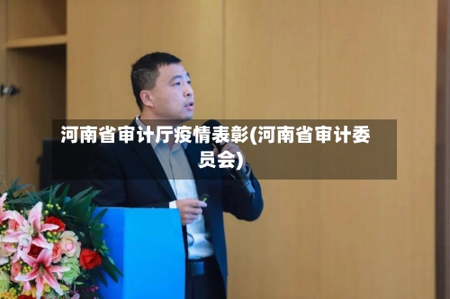 河南省审计厅疫情表彰(河南省审计委员会)-第2张图片