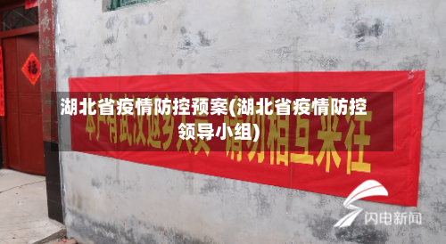 湖北省疫情防控预案(湖北省疫情防控领导小组)-第2张图片