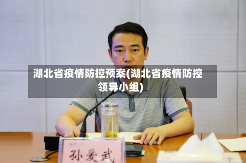 湖北省疫情防控预案(湖北省疫情防控领导小组)-第3张图片