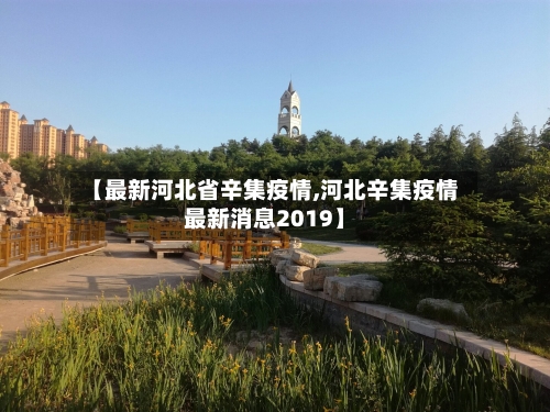 【最新河北省辛集疫情,河北辛集疫情最新消息2019】-第1张图片