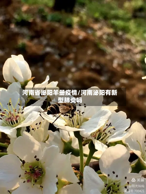 河南省泌阳羊册疫情/河南泌阳有新型肺炎吗-第1张图片