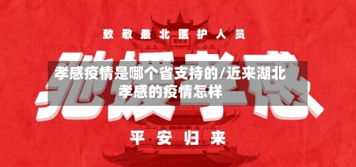 孝感疫情是哪个省支持的/近来湖北孝感的疫情怎样-第1张图片