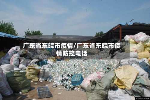 广东省东皖市疫情/广东省东皖市疫情防控电话-第1张图片