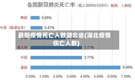 最新疫情死亡人数湖北省(湖北疫情伤亡人数)-第3张图片