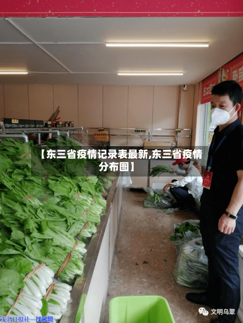 【东三省疫情记录表最新,东三省疫情分布图】-第2张图片