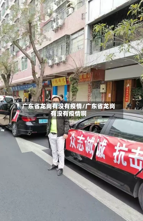 广东省龙岗有没有疫情/广东省龙岗有没有疫情啊-第2张图片