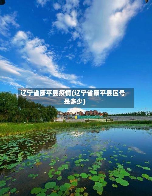 辽宁省康平县疫情(辽宁省康平县区号是多少)-第1张图片