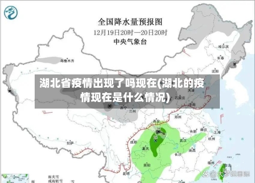 湖北省疫情出现了吗现在(湖北的疫情现在是什么情况)-第1张图片
