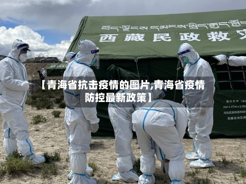 【青海省抗击疫情的图片,青海省疫情防控最新政策】-第2张图片
