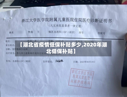 【湖北省疫情低保补贴多少,2020年湖北低保补贴】-第1张图片