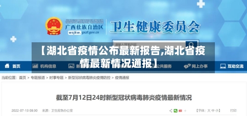 【湖北省疫情公布最新报告,湖北省疫情最新情况通报】-第2张图片