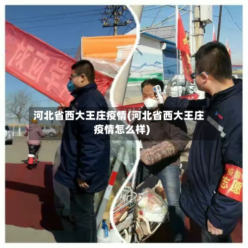 河北省西大王庄疫情(河北省西大王庄疫情怎么样)-第1张图片
