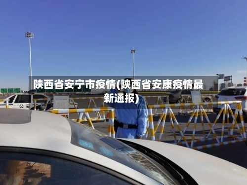陕西省安宁市疫情(陕西省安康疫情最新通报)-第2张图片