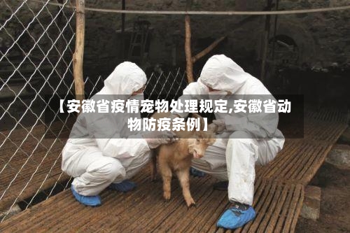 【安徽省疫情宠物处理规定,安徽省动物防疫条例】-第1张图片