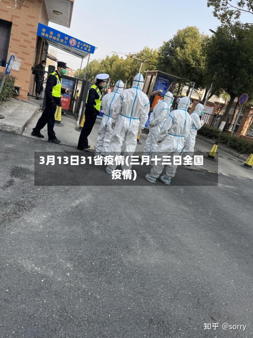 3月13日31省疫情(三月十三日全国疫情)-第2张图片
