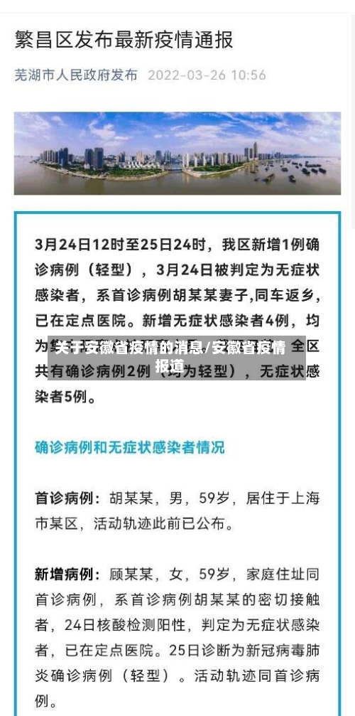 关于安徽省疫情的消息/安徽省疫情报道-第1张图片
