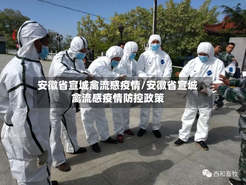 安徽省宣城禽流感疫情/安徽省宣城禽流感疫情防控政策-第2张图片