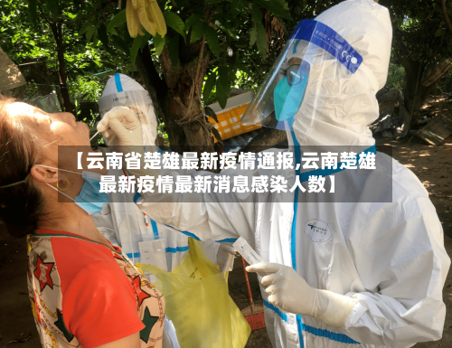 【云南省楚雄最新疫情通报,云南楚雄最新疫情最新消息感染人数】-第3张图片