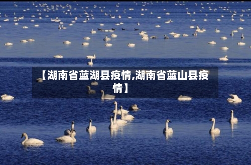 【湖南省蓝湖县疫情,湖南省蓝山县疫情】-第2张图片