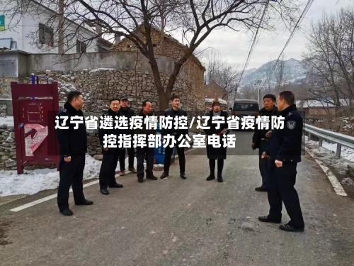 辽宁省遴选疫情防控/辽宁省疫情防控指挥部办公室电话-第2张图片