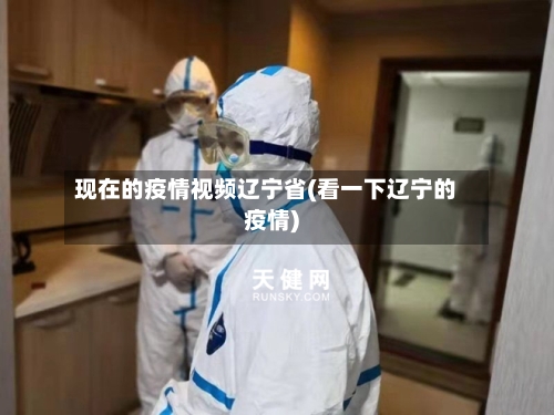 现在的疫情视频辽宁省(看一下辽宁的疫情)-第3张图片
