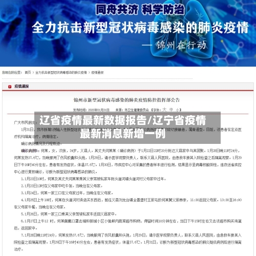 辽省疫情最新数据报告/辽宁省疫情最新消息新增一例-第2张图片