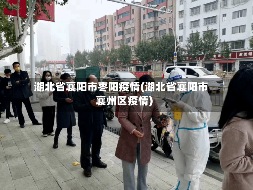 湖北省襄阳市枣阳疫情(湖北省襄阳市襄州区疫情)-第2张图片