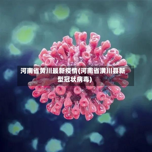 河南省黄川最新疫情(河南省潢川县新型冠状病毒)-第2张图片