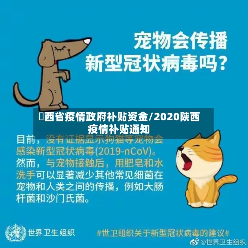 冮西省疫情政府补贴资金/2020陕西疫情补贴通知-第1张图片
