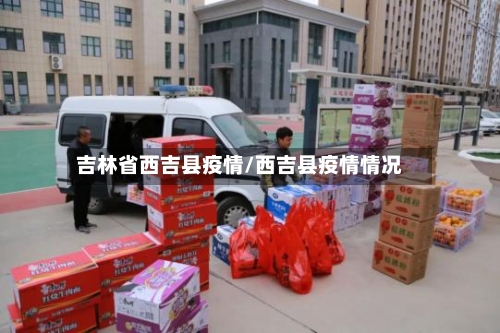 吉林省西吉县疫情/西吉县疫情情况-第2张图片