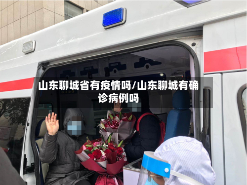 山东聊城省有疫情吗/山东聊城有确诊病例吗-第1张图片