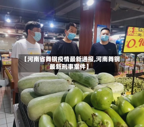 【河南省舞钢疫情最新通报,河南舞钢最新刑事案件】-第1张图片