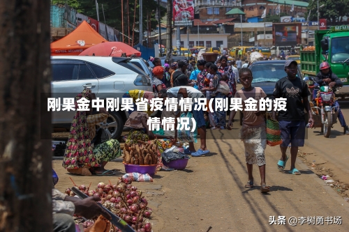 刚果金中刚果省疫情情况(刚果金的疫情情况)-第1张图片