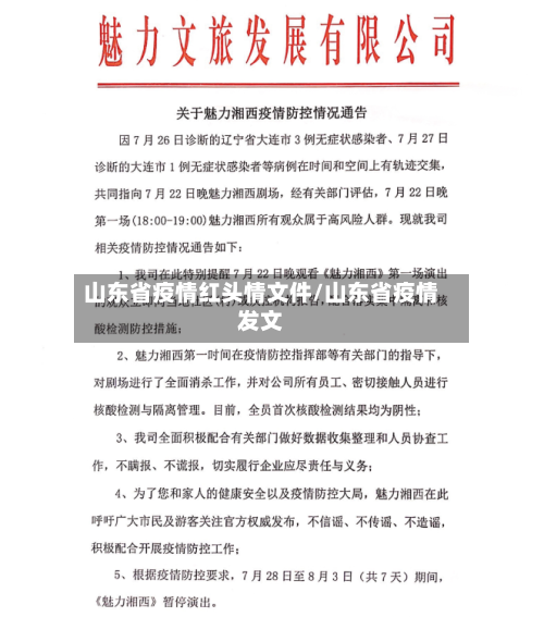 山东省疫情红头情文件/山东省疫情发文-第1张图片