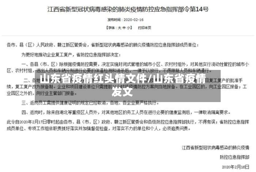 山东省疫情红头情文件/山东省疫情发文-第3张图片