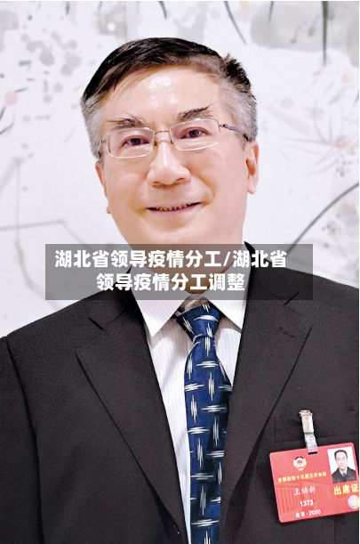 湖北省领导疫情分工/湖北省领导疫情分工调整-第1张图片