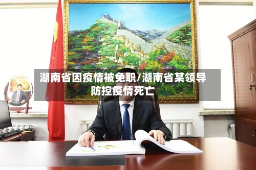 湖南省因疫情被免职/湖南省某领导防控疫情死亡-第1张图片