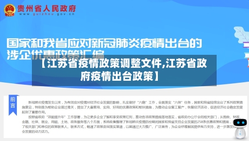 【江苏省疫情政策调整文件,江苏省政府疫情出台政策】-第3张图片