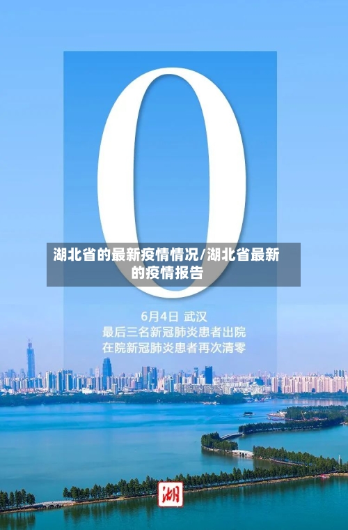 湖北省的最新疫情情况/湖北省最新的疫情报告-第2张图片
