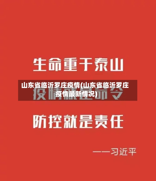 山东省临沂罗庄疫情(山东省临沂罗庄疫情最新情况)-第2张图片