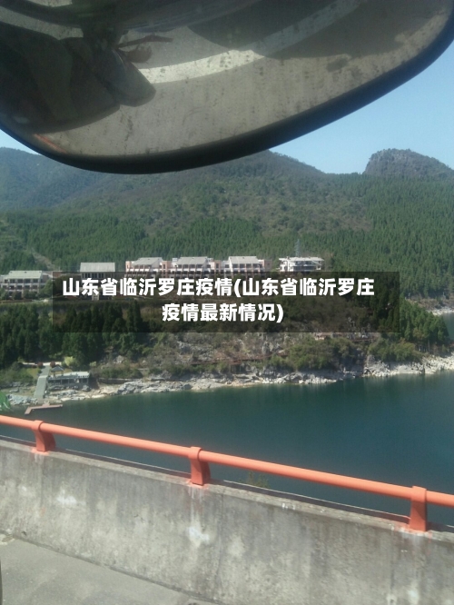 山东省临沂罗庄疫情(山东省临沂罗庄疫情最新情况)-第1张图片