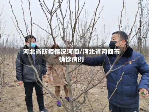 河北省防疫情况河间/河北省河间市确诊病例-第3张图片