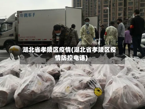 湖北省孝陵区疫情(湖北省孝陵区疫情防控电话)-第1张图片