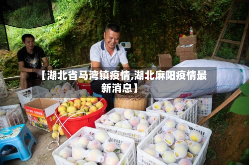 【湖北省马湾镇疫情,湖北麻阳疫情最新消息】-第3张图片