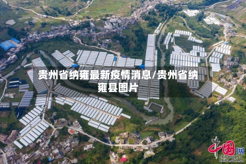 贵州省纳雍最新疫情消息/贵州省纳雍县图片-第1张图片