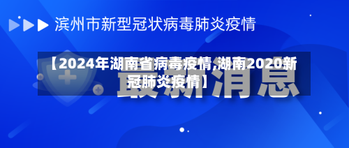 【2024年湖南省病毒疫情,湖南2020新冠肺炎疫情】-第2张图片