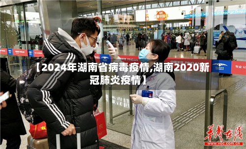 【2024年湖南省病毒疫情,湖南2020新冠肺炎疫情】-第3张图片