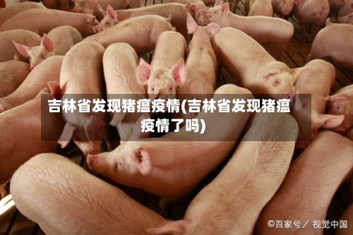 吉林省发现猪瘟疫情(吉林省发现猪瘟疫情了吗)-第2张图片