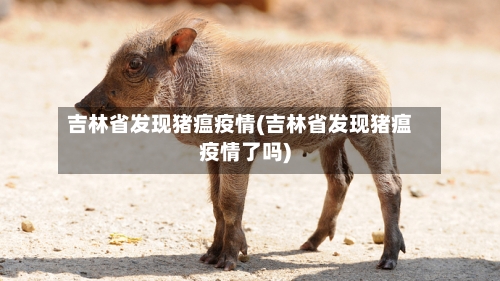 吉林省发现猪瘟疫情(吉林省发现猪瘟疫情了吗)-第3张图片