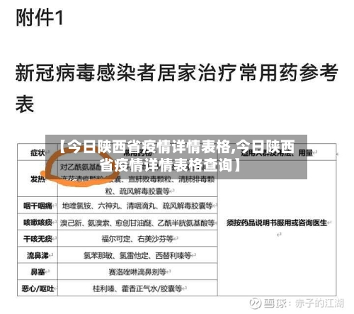 【今日陕西省疫情详情表格,今日陕西省疫情详情表格查询】-第3张图片